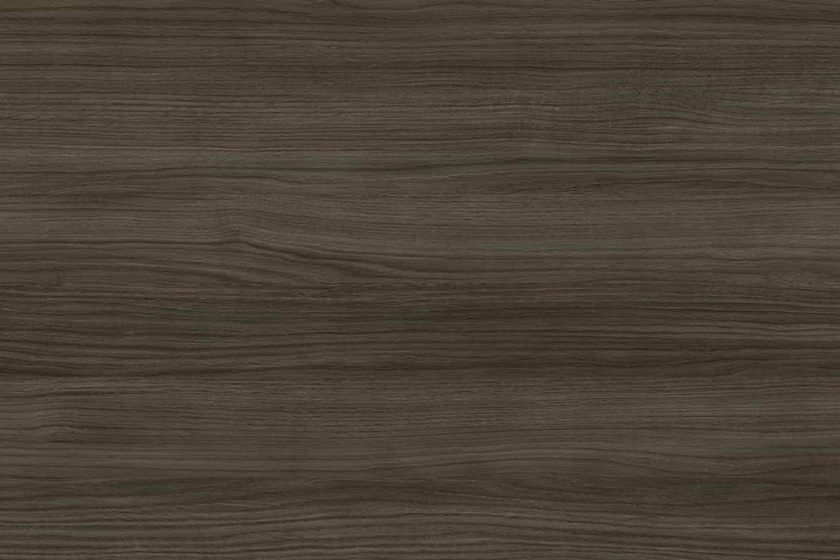 8101 – Arabica - Top Linea