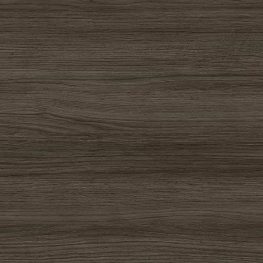 8101 – Arabica